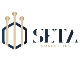 Seta Consulting